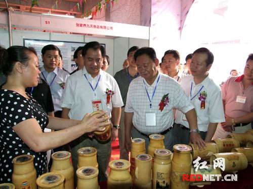 省市領導參觀博覽會展館