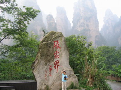 ���ҽ����ɭ�ֹ��@